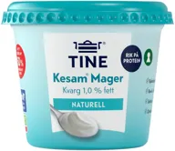 Kesam Mager Tine